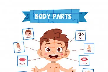 פאזל של partes del cuerpo