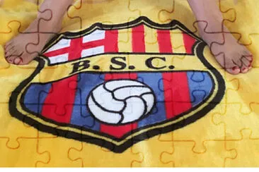 Bsc