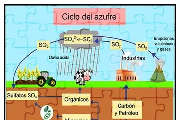 ciclo del asufre