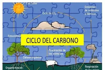 פאזל של ciclo del carbono