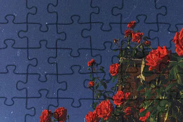 *aesthetic* jigsaw puzzle