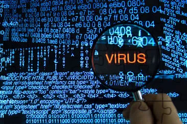 Actividad sobre virus