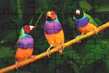 pajaritos jigsaw puzzle