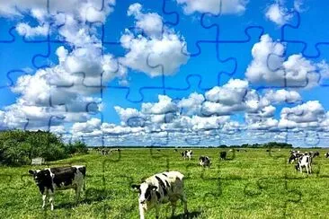 imagem jigsaw puzzle