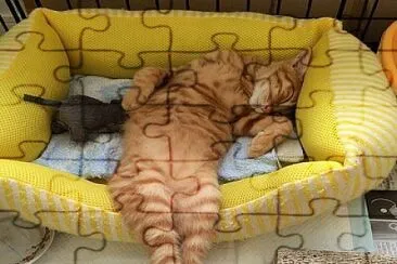 Descansando jigsaw puzzle