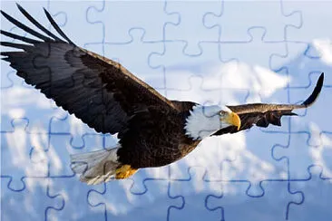 AGUILA VOLANDO jigsaw puzzle