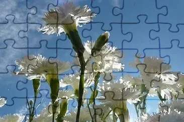 OK jigsaw puzzle