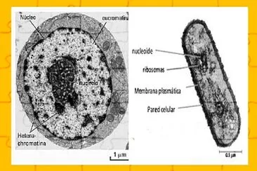 BIOLOGY