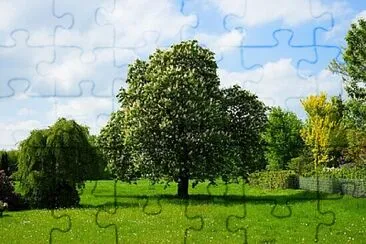 Imagem jigsaw puzzle