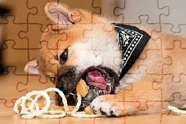 Foto jigsaw puzzle