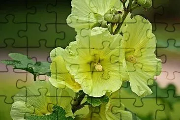 OK jigsaw puzzle