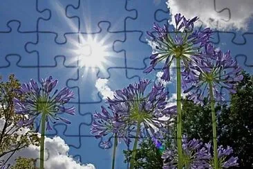 OK jigsaw puzzle