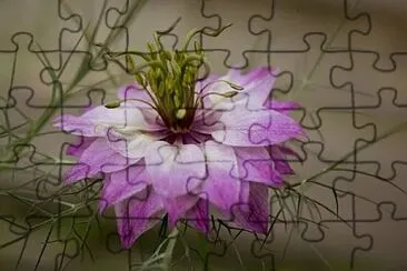 OK jigsaw puzzle