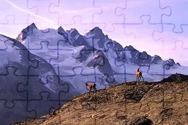 Foto jigsaw puzzle