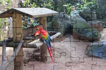 Parques das aves jigsaw puzzle