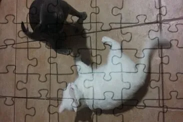 ler j jigsaw puzzle