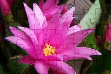 OK jigsaw puzzle