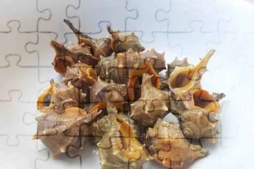 Garusoli jigsaw puzzle