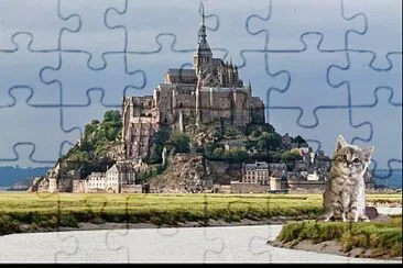 002 jigsaw puzzle