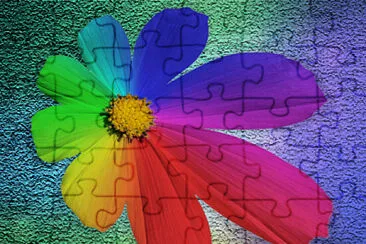 Flower jigsaw puzzle