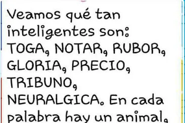 Animales