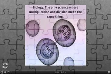 פאזל של Cell Division