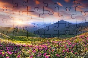 Flores Entre Montanhas jigsaw puzzle