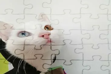 gata jigsaw puzzle