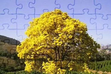 . jigsaw puzzle