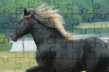 Rocky Mountain jigsaw puzzle