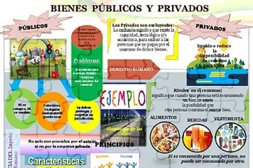 Bienes y servicios