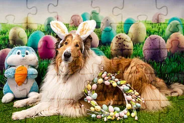 Cane Pasqua jigsaw puzzle