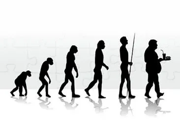 פאזל של evolução