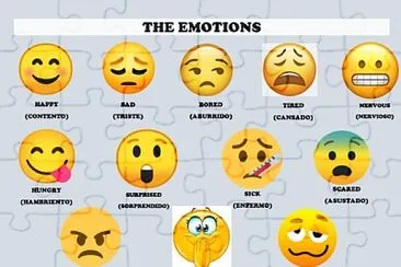 THE EMOTIONS jigsaw puzzle