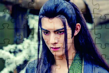 Chinese actor Wang Haoxuan jigsaw puzzle