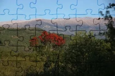 joca jigsaw puzzle