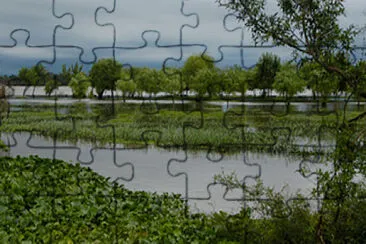 Humedal de Urugguay jigsaw puzzle