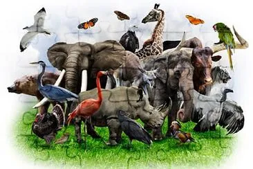 fauna silvestre jigsaw puzzle