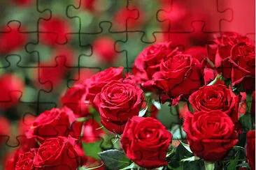 Rosas jigsaw puzzle