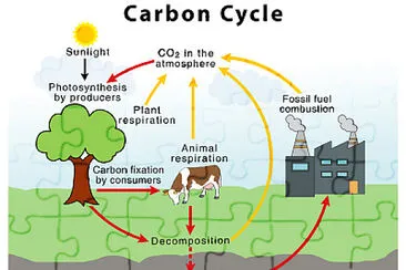 Livengood 's Science jigsaw puzzle