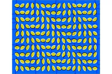 Perceptual Illusion 1