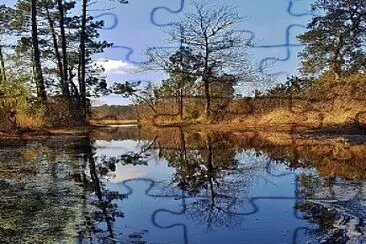 Landes jigsaw puzzle