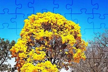 imagem jigsaw puzzle