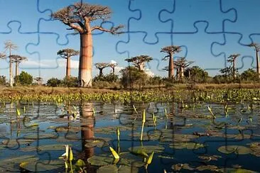 Madagascar jigsaw puzzle