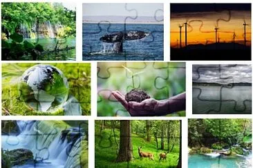 recursos naturales jigsaw puzzle