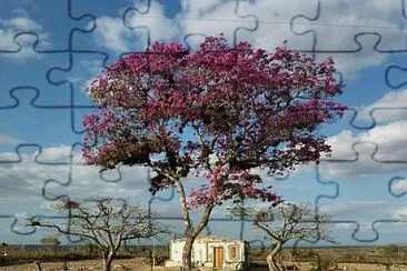 imagem jigsaw puzzle