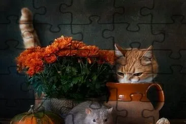 Gato e rato jigsaw puzzle