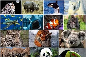 VARIOS ANIMALES jigsaw puzzle