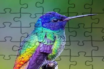 esta lindo jigsaw puzzle