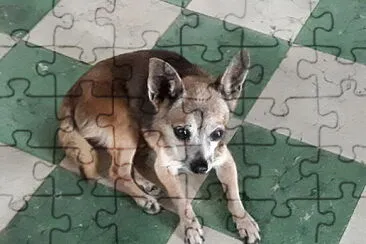 El tio Max en sus 15 años jigsaw puzzle